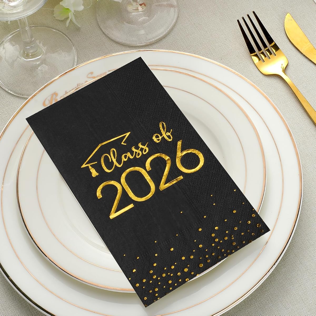 Class of 2026 Napkins CT51, 100 pack view 4