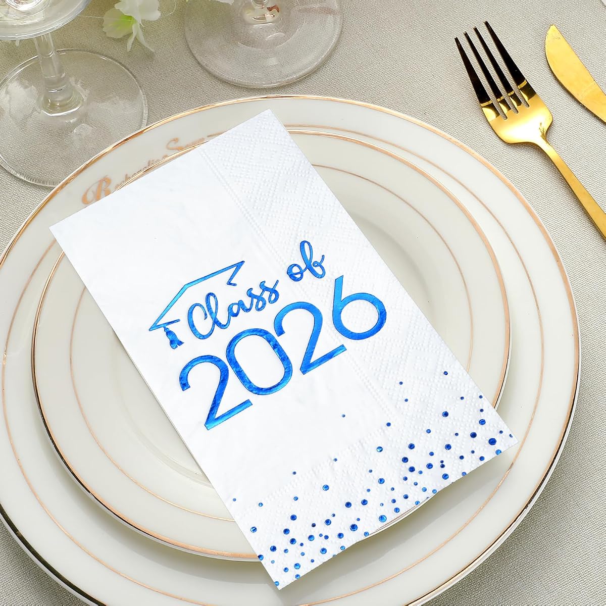 Class of 2026 Napkins Foil Dot, 100 pack view 4
