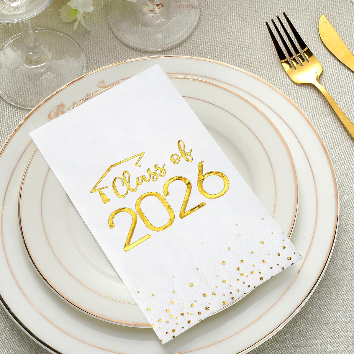 Class of 2026 Napkins L49Z, 100 pack view 4