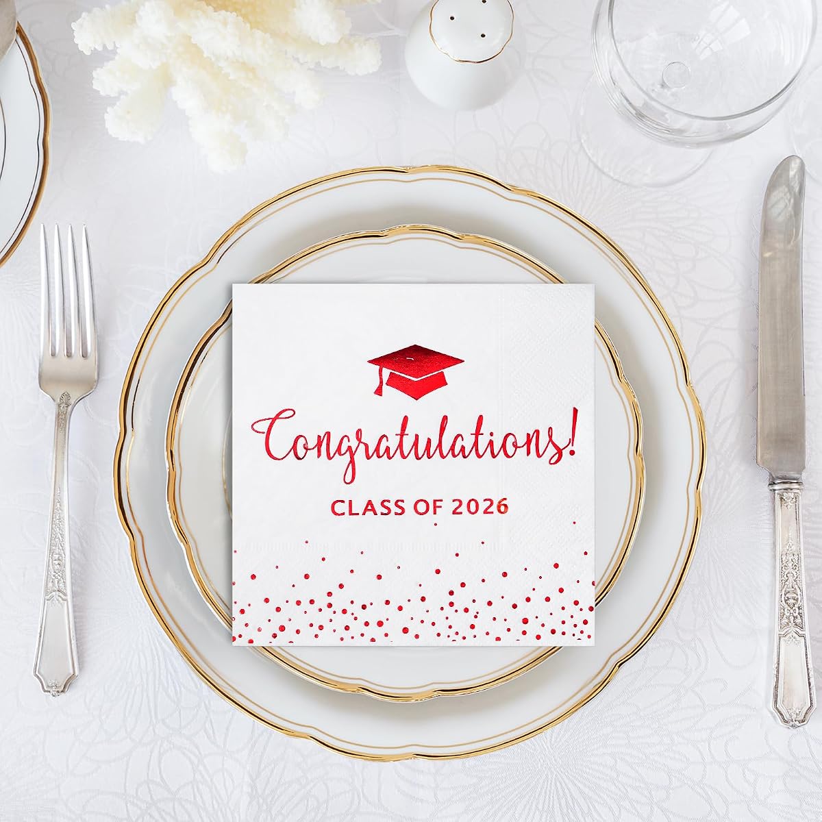 Class of 2026 Napkins NBC5, 200 pack view 4