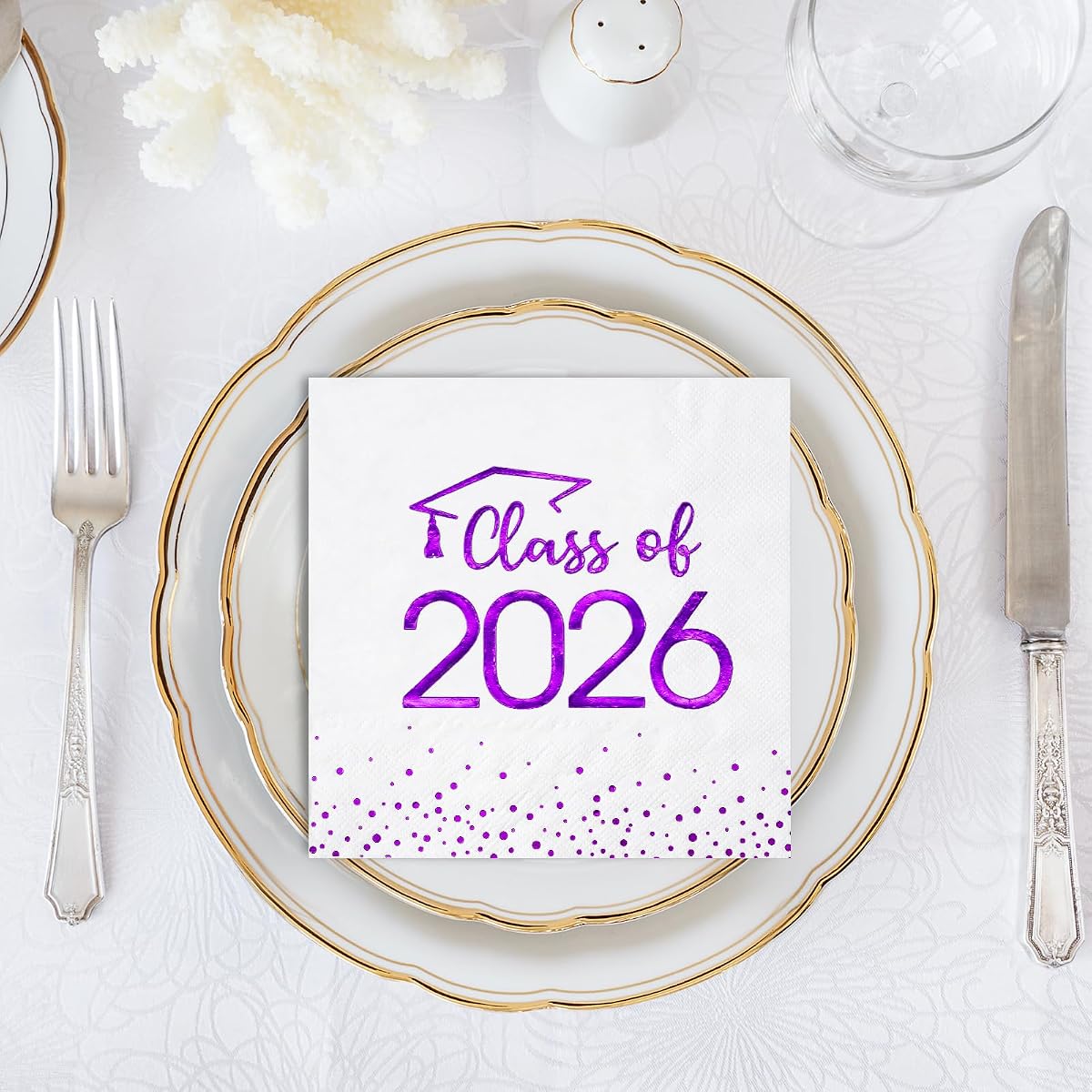 Class of 2026 Napkins Square, 100 pack view 4